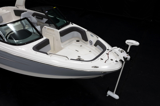 Chaparral 21 SSI OB Ski & Fish