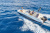 QUICKSILVER ACTIV 555 OPEN