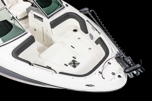 Chaparral 21 SSI SKI & FISH